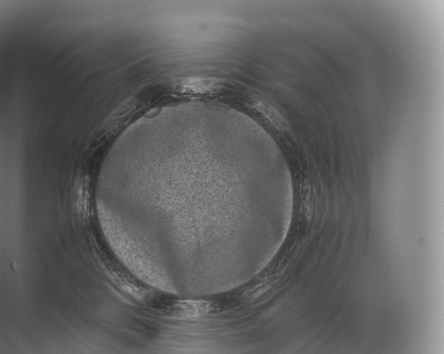 X0000071780328200607150101