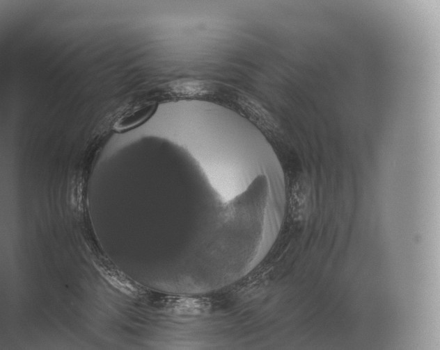 X0000071780330200607150101