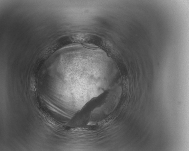 X0000071780331200607150101