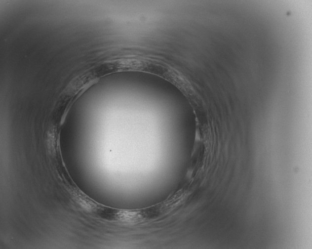 X0000071780333200607150101