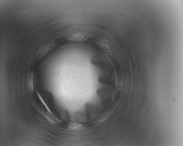 X0000071780334200607150101