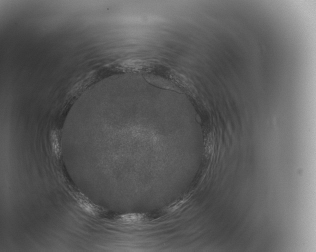 X0000071780335200607150101