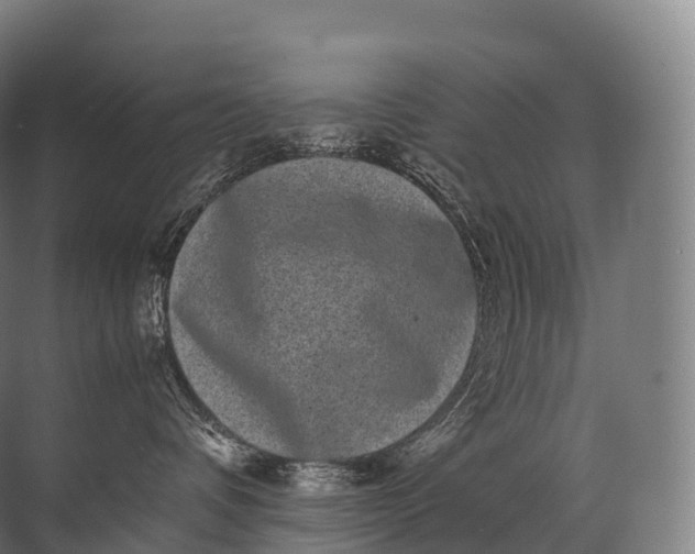 X0000071780336200607150101