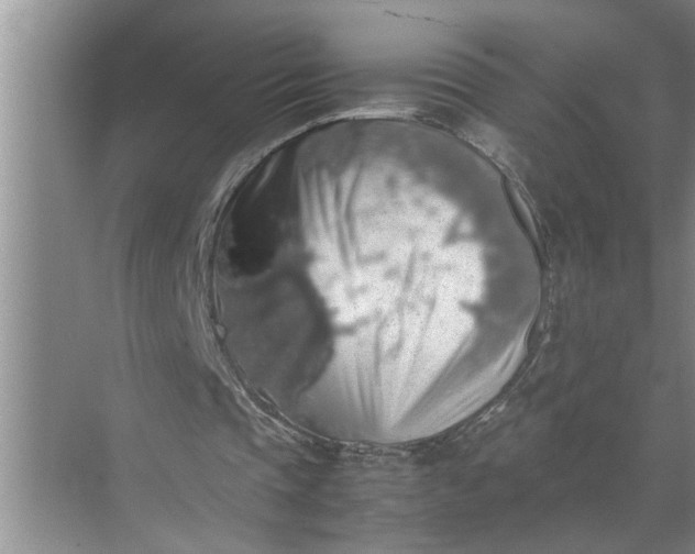 X0000071780337200607150100