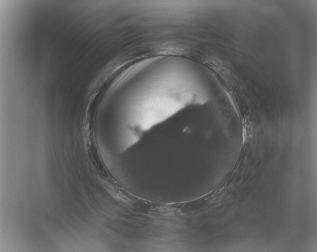 X0000071780339200607150100