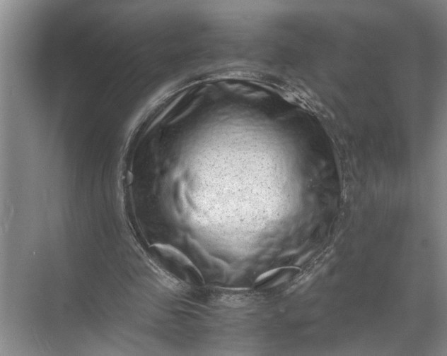 X0000071780341200607150100