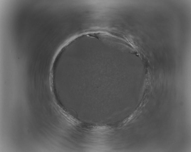 X0000071780342200607150100