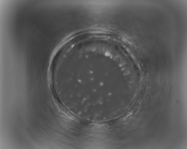 X0000071780343200607150100