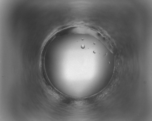 X0000071780344200607150100