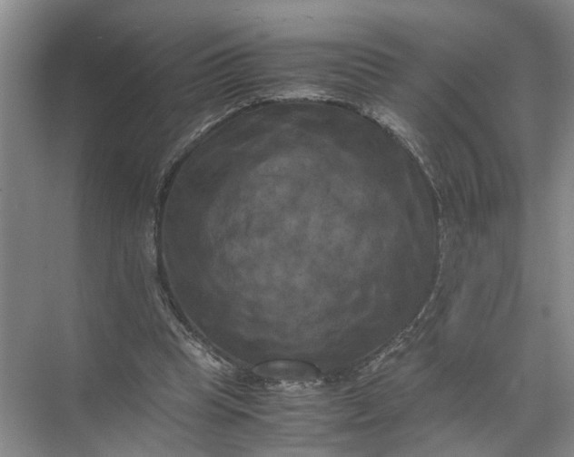 X0000071780345200607150100