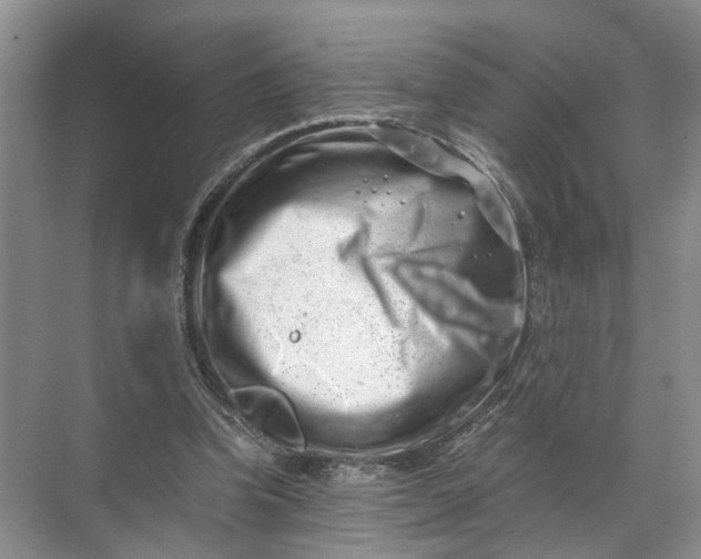 X0000071780346200607150100