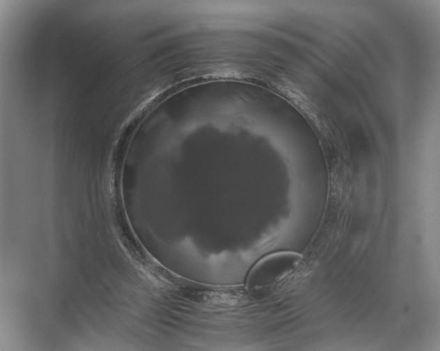 X0000071780347200607150101