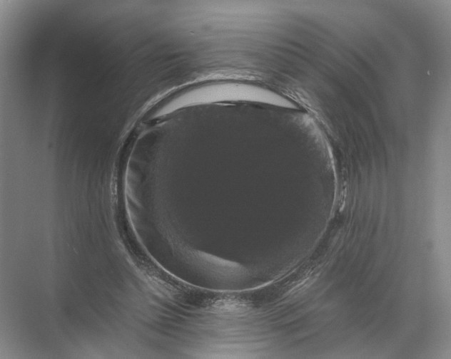 X0000071780348200607150101