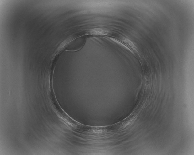 X0000071780349200607150101