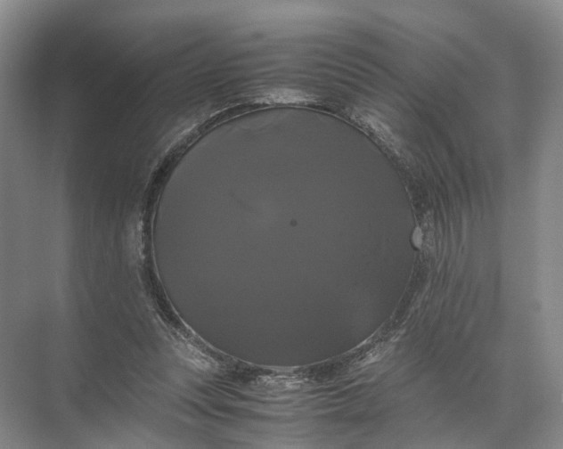 X0000071780351200607150101