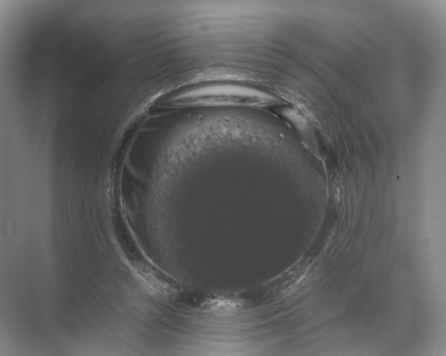 X0000071780352200607150101