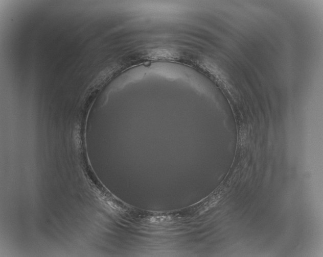 X0000071780353200607150101