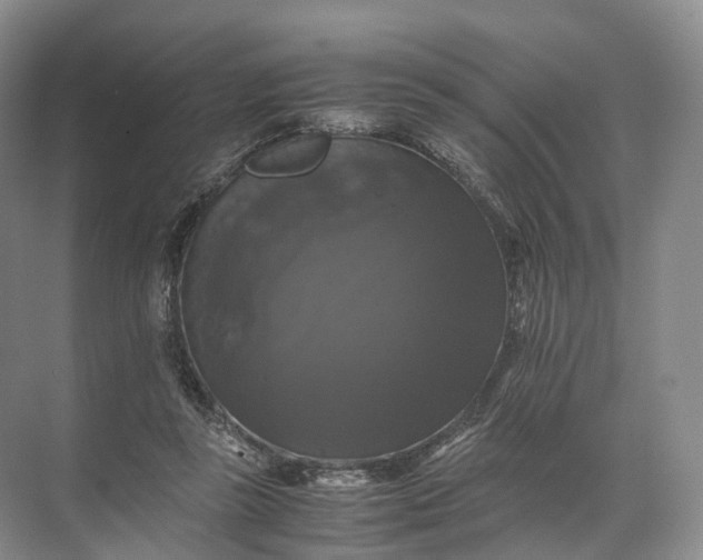 X0000071780355200607150101