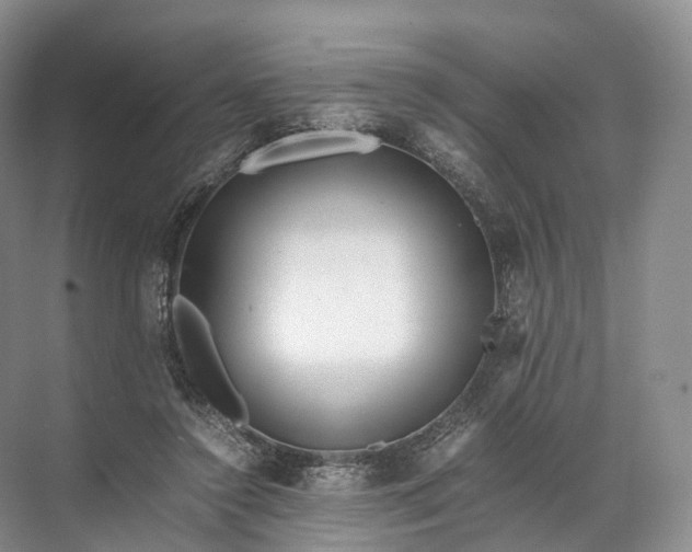 X0000071780356200607150101