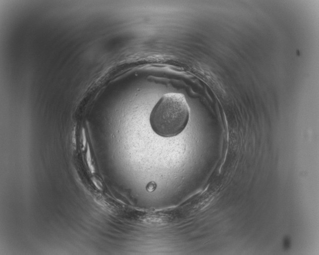 X0000071780358200607150101