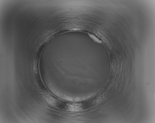 X0000071780359200607150101