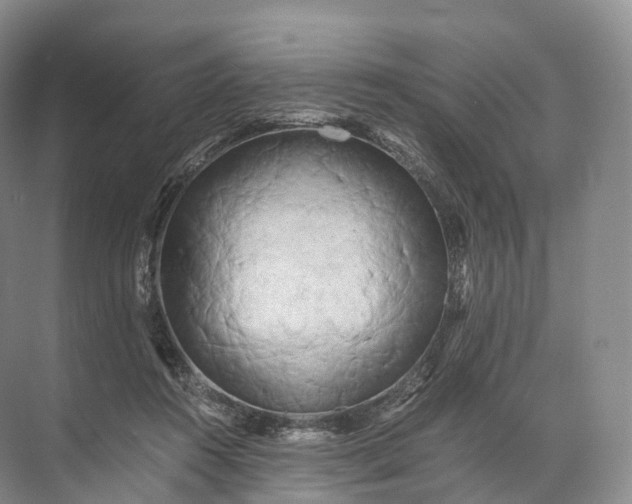 X0000071780360200607150101