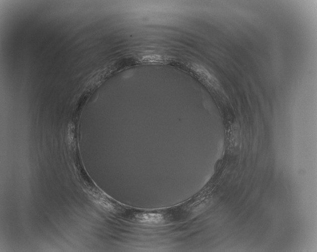 X0000071780361200607150101