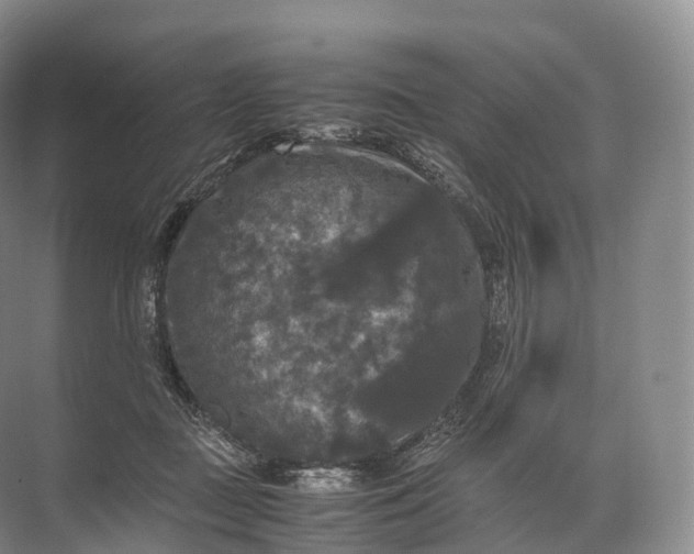 X0000071780363200607150101