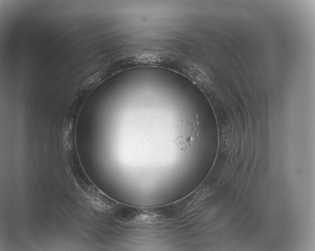 X0000071780364200607150101