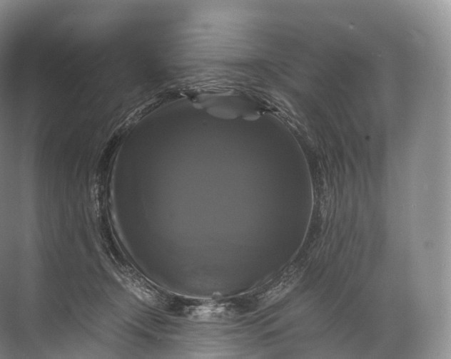 X0000071780366200607150101