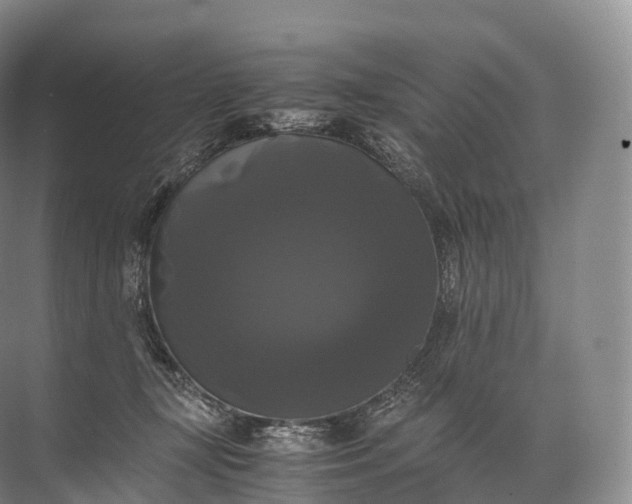 X0000071780367200607150101