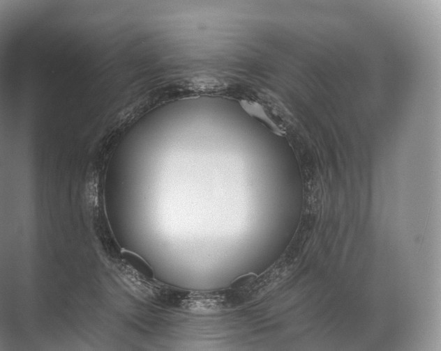 X0000071780368200607150101