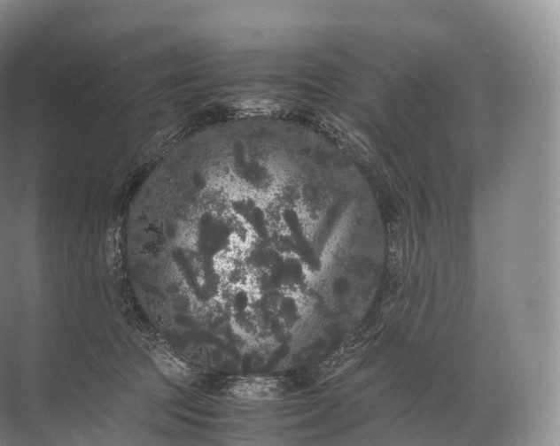 X0000071780369200607150101