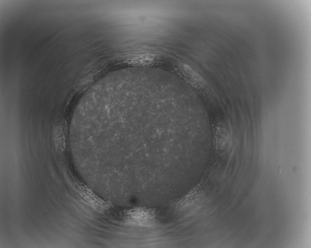 X0000071780370200607150101