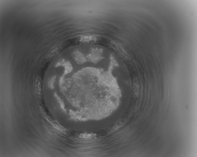 X0000071780375200607150101