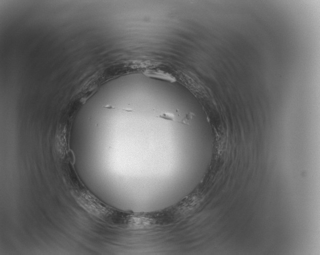 X0000071780376200607150101