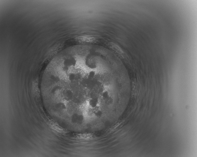 X0000071780377200607150101