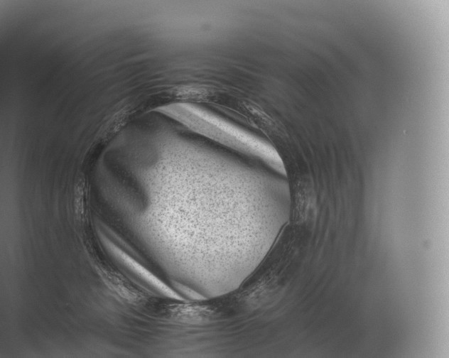 X0000071780379200607150101