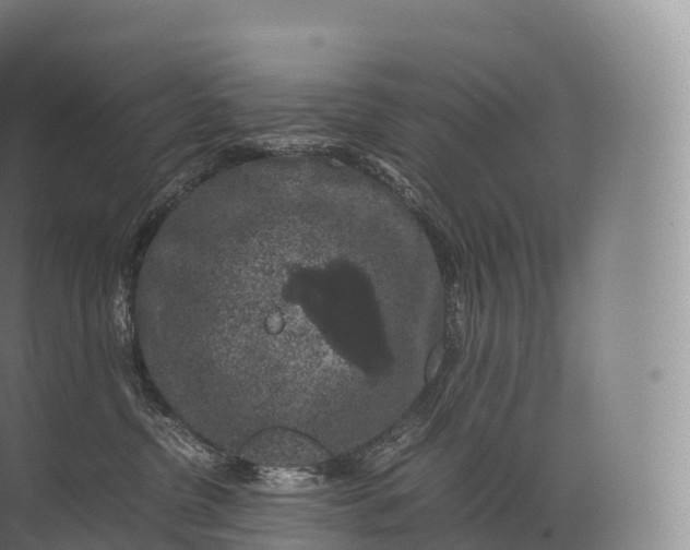 X0000071780380200607150101