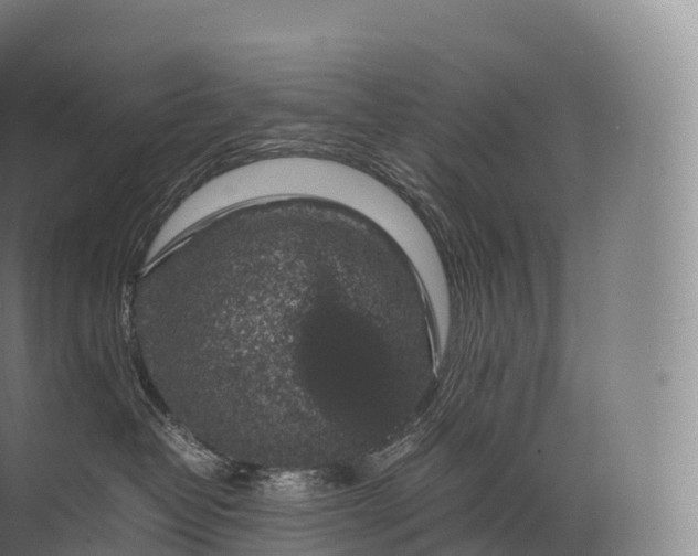 X0000071780382200607150101