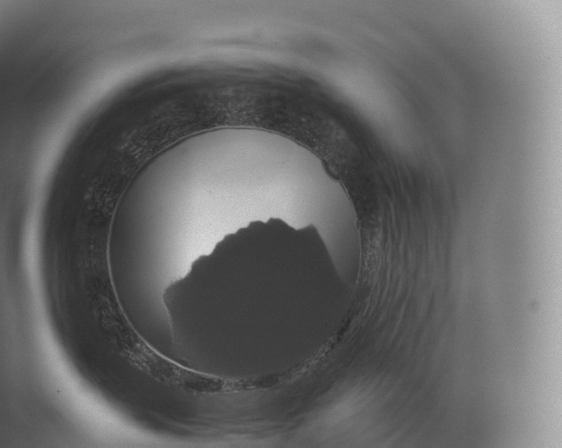 X0000071780383200607150101