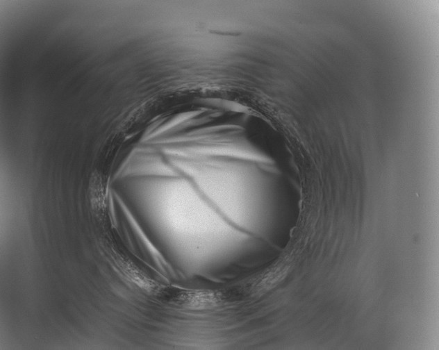 X0000071780384200607150101