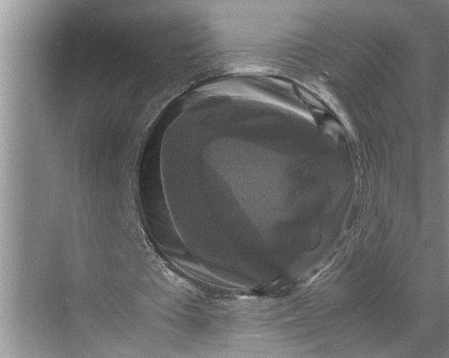 X0000071780385200607150100