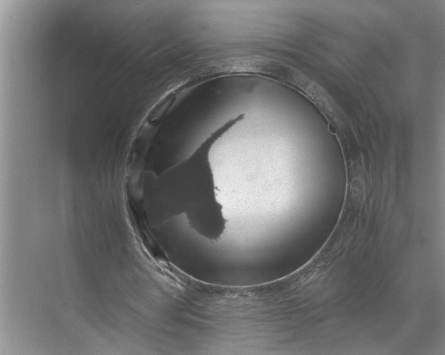 X0000071780386200607150100