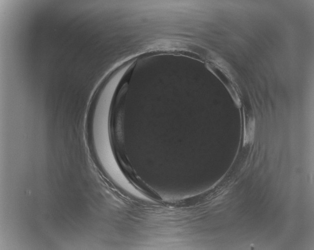 X0000071780387200607150100