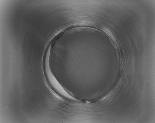 X0000071780389200607150100