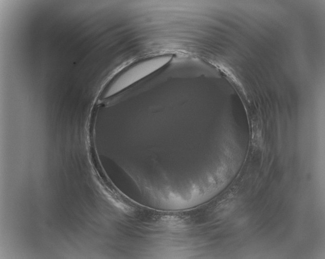 X0000071780390200607150100