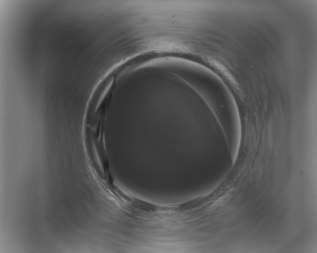 X0000071780391200607150100