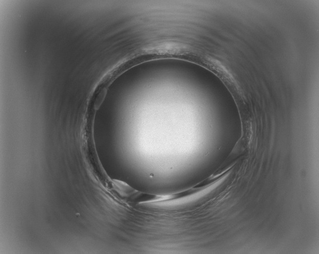 X0000071780392200607150100