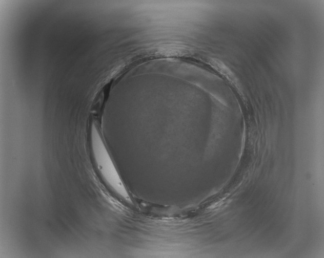 X0000071780393200607150100